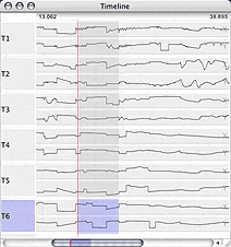 timeline view screenshot