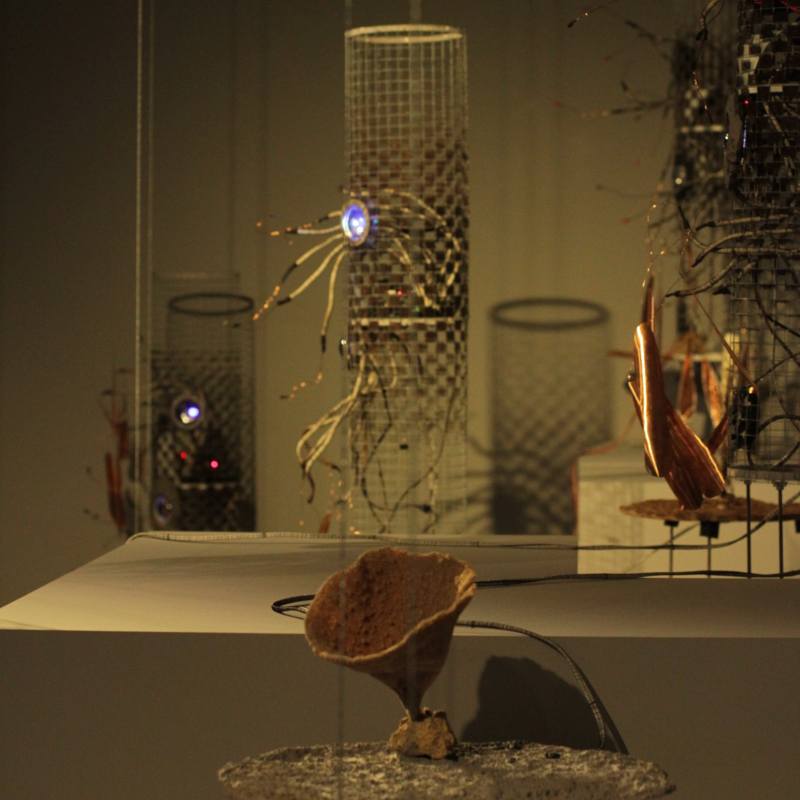 Exhibition motif (cropped)