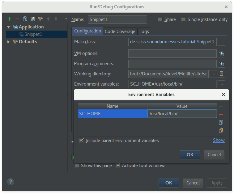 IC Environment_Variables